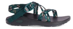 Chacos Sandals NZ - Chaco Women's Z/2 Classic 08Z482 Warren Pine