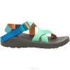 Chacos Sport - Chaco Men's Z/2 Classic Harvest Collection 08Z4205 Seablock